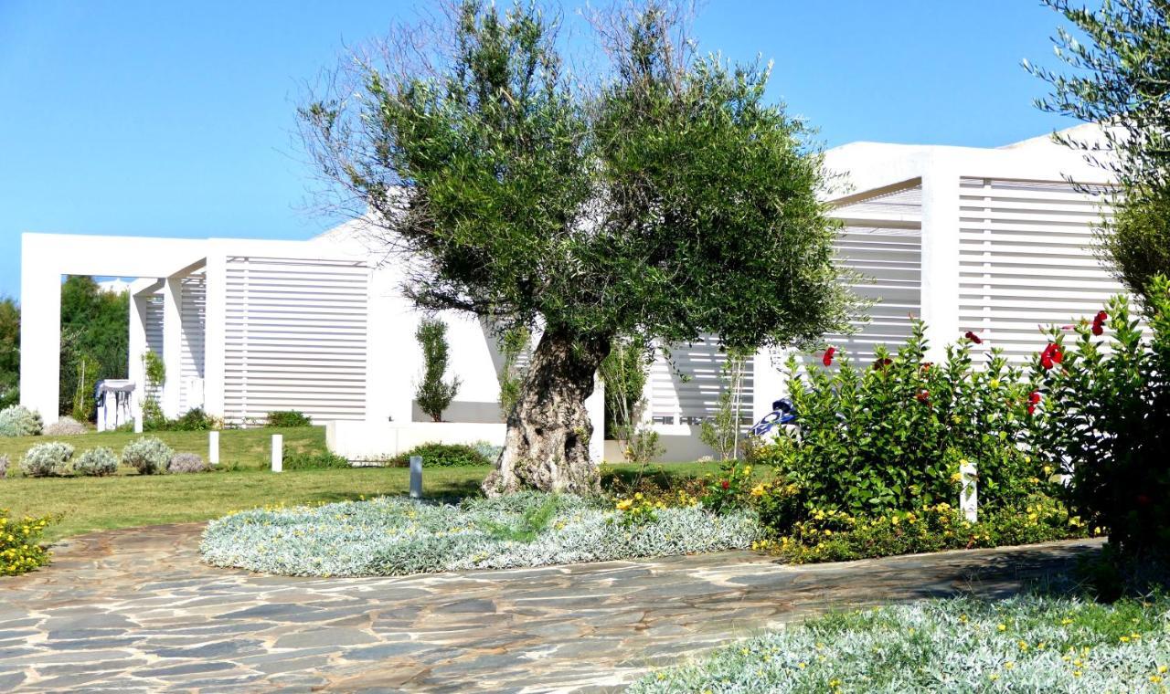 Resort Con Piscina A Soli 250 Mt Dalla Spiaggia La Pelosa 斯廷蒂诺 外观 照片