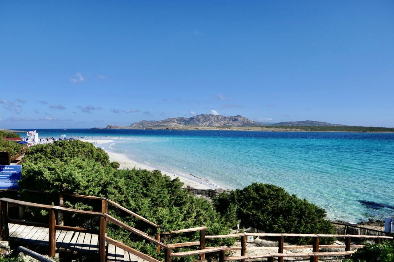 Resort Con Piscina A Soli 250 Mt Dalla Spiaggia La Pelosa 斯廷蒂诺 外观 照片