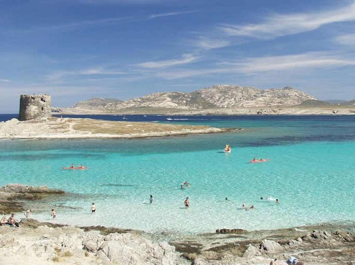 Resort Con Piscina A Soli 250 Mt Dalla Spiaggia La Pelosa 斯廷蒂诺 外观 照片