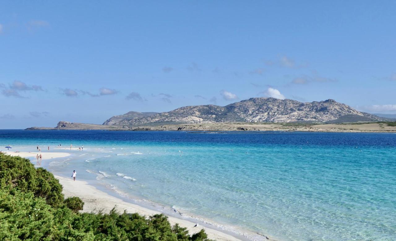 Resort Con Piscina A Soli 250 Mt Dalla Spiaggia La Pelosa 斯廷蒂诺 外观 照片