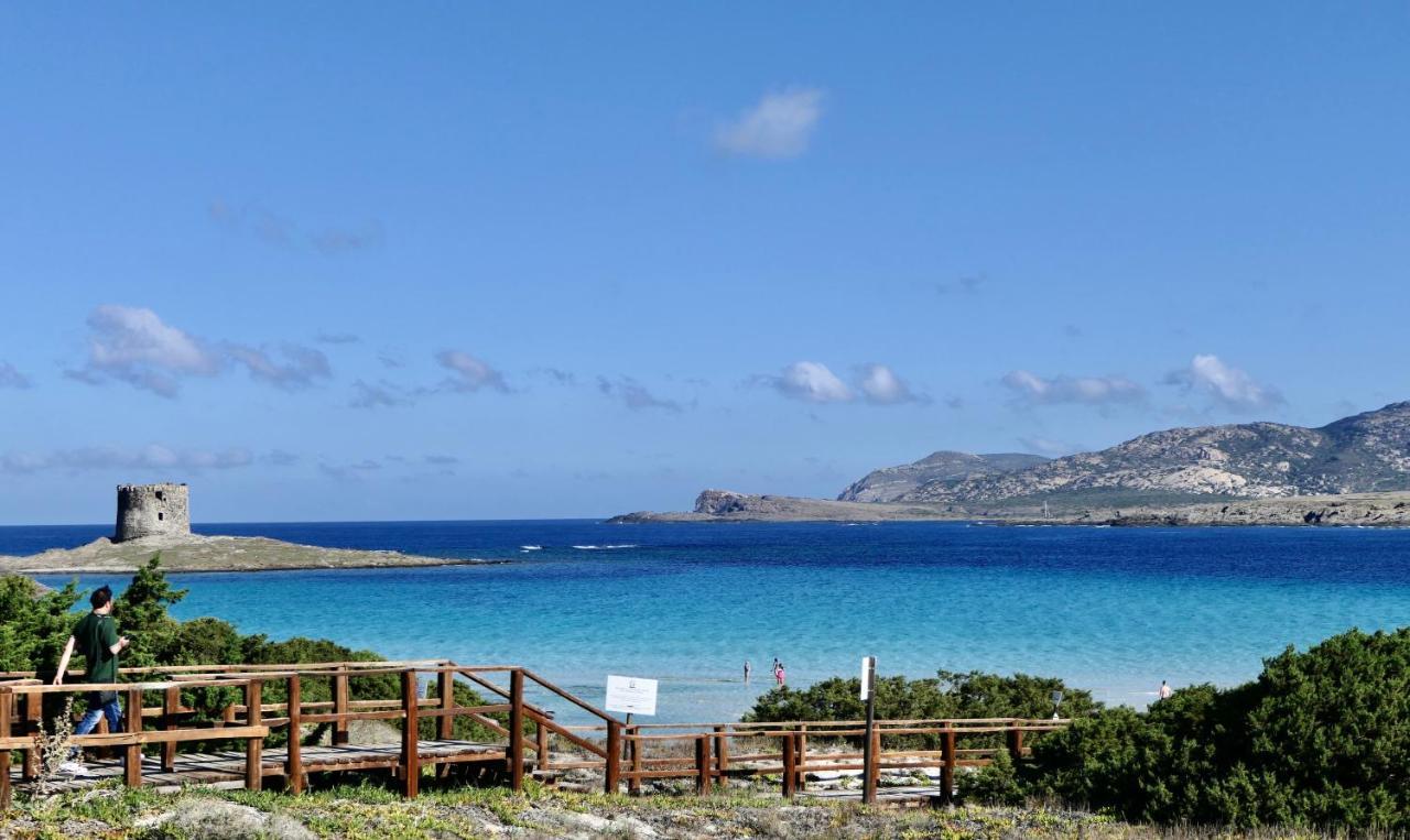 Resort Con Piscina A Soli 250 Mt Dalla Spiaggia La Pelosa 斯廷蒂诺 外观 照片